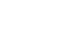 Leipzig Lions
